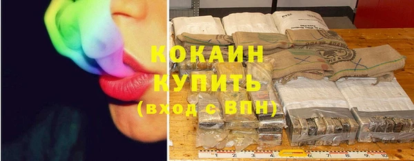 spice Алзамай