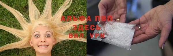 spice Алзамай