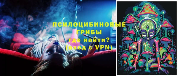 spice Алзамай