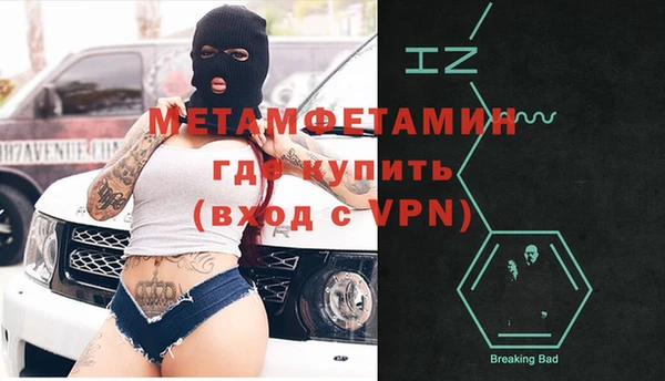 прущие грибы Осинники